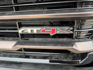 2025 GMC Sierra 1500 in Pickering, Ontario - 47 - w320h240px