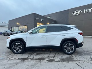 2022 Hyundai Tucson Hybrid in Pickering, Ontario - 2 - w320h240px