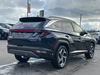 2024 Hyundai Tucson Hybrid in Pickering, Ontario - 5 - w320h240px