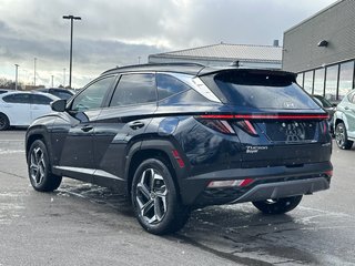 2024 Hyundai Tucson Hybrid in Pickering, Ontario - 3 - w320h240px