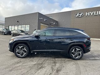 2024 Hyundai Tucson Hybrid in Pickering, Ontario - 2 - w320h240px