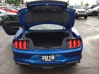 2018 Ford Mustang in Pickering, Ontario - 10 - w320h240px