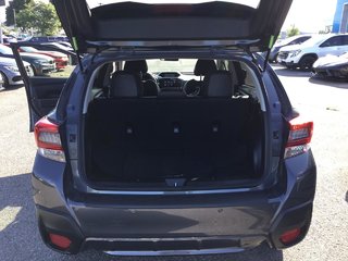 2021 Subaru Crosstrek in Pickering, Ontario - 11 - w320h240px