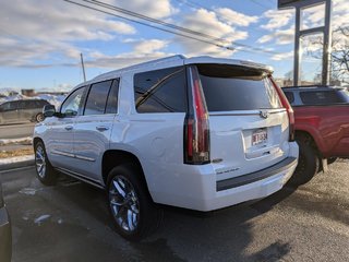 2020 Cadillac Escalade in Saint John, New Brunswick - 3 - w320h240px