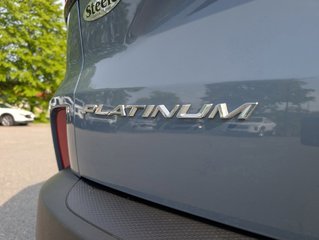 2023 Ford Escape Platinum in Saint John, New Brunswick - 6 - w320h240px