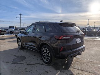 2023 Ford Escape ST-Line Elite in Saint John, New Brunswick - 6 - w320h240px