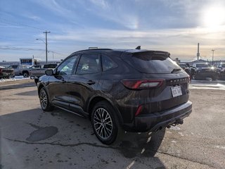 2023 Ford Escape in Saint John, New Brunswick - 6 - w320h240px