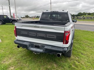 Ford F-150 Raptor 2025 à Amos, Québec - 4 - w320h240px