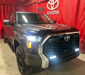 Tundra  2023 à Amos, Québec - 3 - w320h240px