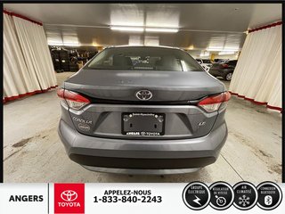 2020  Corolla LE in Saint-Hyacinthe, Quebec - 5 - w320h240px