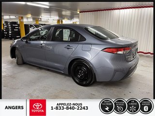 2020  Corolla LE in Saint-Hyacinthe, Quebec - 6 - w320h240px