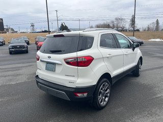 Ford EcoSport Titanium 2019 à Bathurst, Nouveau-Brunswick - 6 - w320h240px