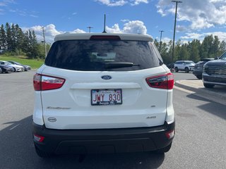 2021 Ford EcoSport SE in Bathurst, New Brunswick - 5 - w320h240px
