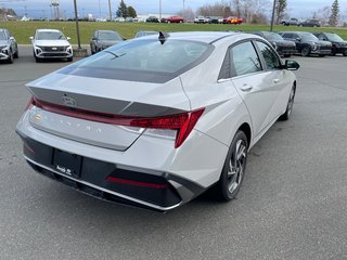 Elantra Luxury IVT 2025 à Bathurst, Nouveau-Brunswick - 5 - w320h240px