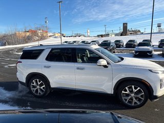 2020 Hyundai Palisade Luxury in Bathurst, New Brunswick - 4 - w320h240px