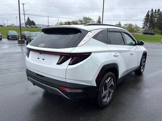 Hyundai Tucson Hybrid Luxury 2022 à Bathurst, Nouveau-Brunswick - 5 - w320h240px
