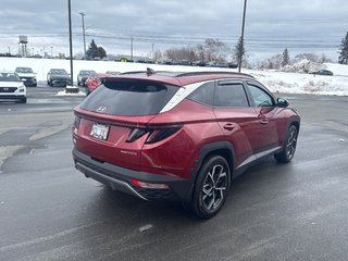 Hyundai Tucson Hybrid Luxury 2023 à Bathurst, Nouveau-Brunswick - 5 - w320h240px