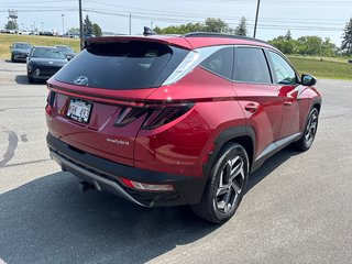 2023 Hyundai Tucson Hybrid Ultimate in Bathurst, New Brunswick - 5 - w320h240px