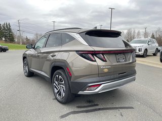 Tucson Hybrid Ultimate AWD 2025 à Bathurst, Nouveau-Brunswick - 6 - w320h240px