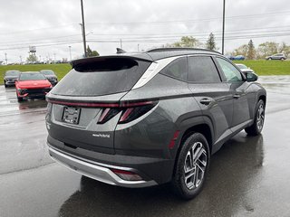 Hyundai Tucson Hybrid Ultimate AWD 2025 à Bathurst, Nouveau-Brunswick - 5 - w320h240px