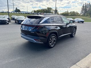 2025 Hyundai Tucson Hybrid Ultimate AWD in Bathurst, New Brunswick - 6 - w320h240px