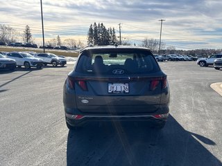 Hyundai Tucson Essential 2022 à Bathurst, Nouveau-Brunswick - 5 - w320h240px