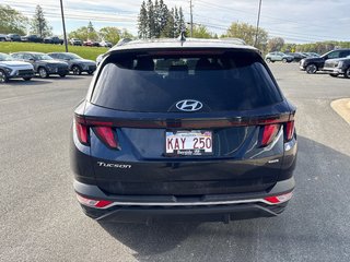 2023 Hyundai Tucson Preferred in Bathurst, New Brunswick - 6 - w320h240px