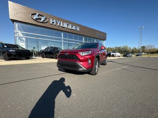 2020 Toyota RAV4 XLE in Bathurst, New Brunswick - 3 - w320h240px