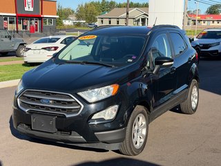 2019 Ford ECOSPORT SE in Amherst, Nova Scotia - 4 - w320h240px