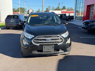 2019 Ford ECOSPORT SE in Amherst, Nova Scotia - 3 - w320h240px