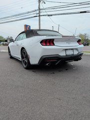 2025 Ford MUSTANG ECOBOOST in Amherst, Nova Scotia - 5 - w320h240px