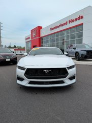 2025 Ford MUSTANG ECOBOOST in Amherst, Nova Scotia - 2 - w320h240px
