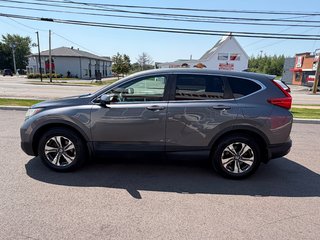 2017 Honda CR-V LX in Amherst, Nova Scotia - 5 - w320h240px