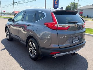 2017 Honda CR-V LX in Amherst, Nova Scotia - 6 - w320h240px