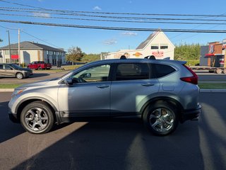 2019 Honda CR-V EX-L in Amherst, Nova Scotia - 5 - w320h240px