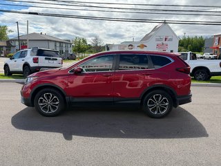 2021 Honda CR-V EX-L in Amherst, Nova Scotia - 5 - w320h240px