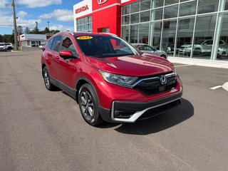 2021 Honda CR-V EX-L in Amherst, Nova Scotia - 2 - w320h240px