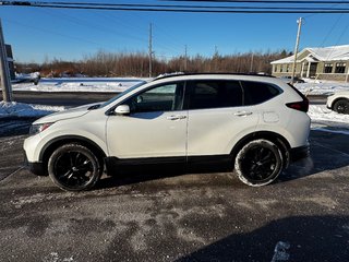 2022 Honda CR-V BLACK EDITION in Amherst, Nova Scotia - 5 - w320h240px