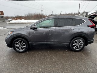 Honda CR-V EX-L 2022 à Amherst, Nouvelle-Écosse - 5 - w320h240px