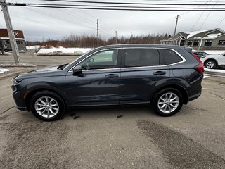 Honda CR-V EX-L 2024 à Amherst, Nouvelle-Écosse - 5 - w320h240px