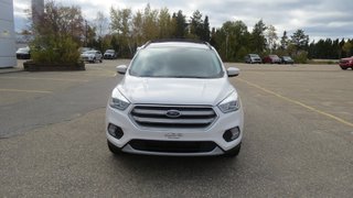 Ford Escape SE AWD 2.0 L 201A 2017 à Les Escoumins, Québec - 3 - w320h240px