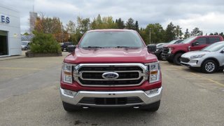 2021 Ford F-150 4WD Super Crew 145'' WB in Les Escoumins, Quebec - 3 - w320h240px