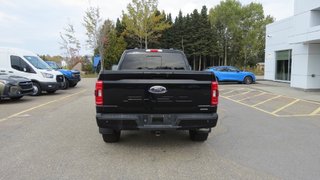 2021 Ford F-150 4WD Super Crew 157'' WB in Les Escoumins, Quebec - 5 - w320h240px