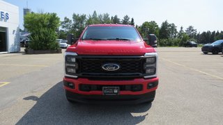 Ford F-250 Super Duty XLT Crew Cab 160'' WB 2023 à Les Escoumins, Québec - 3 - w320h240px