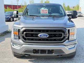 Ford F-150 F150 / SUPERCREW / TRÈS RARE 5.0 L !! 76.500KM / 2022 à Thetford Mines, Québec - 2 - w320h240px