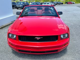 Ford Mustang CONVERTIBLE / ROUGE SUR ROUGE / MOTEUR V6 / MAGS 17 / JAMAIS SORTI L’HIVER 2006 à Thetford Mines, Québec - 2 - w320h240px