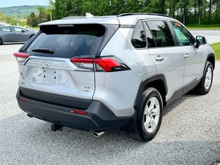 Toyota RAV4 XLE AWD / TRÈS BAS KILOS / FIABILITÉ ASSURÉE / 2019 à Thetford Mines, Québec - 4 - w320h240px