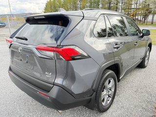 Toyota RAV4 XLE AWD / VITRE TEINTÉES / BAS KILOS ! / 2024 à Thetford Mines, Québec - 5 - w320h240px