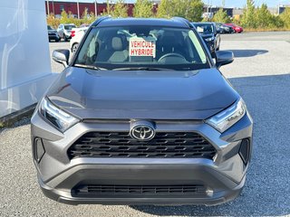 2025 Toyota RAV4 HYBRIDE XLE AWD / LE MOINS CHER AU CANADA / in Thetford Mines, Quebec - 2 - w320h240px