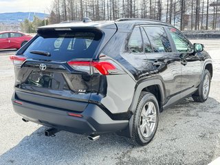 Toyota RAV4 XLE AWD / HITCH TOYOTA / TAG / ÉTAT NEUF !!! / 2025 à Thetford Mines, Québec - 5 - w320h240px